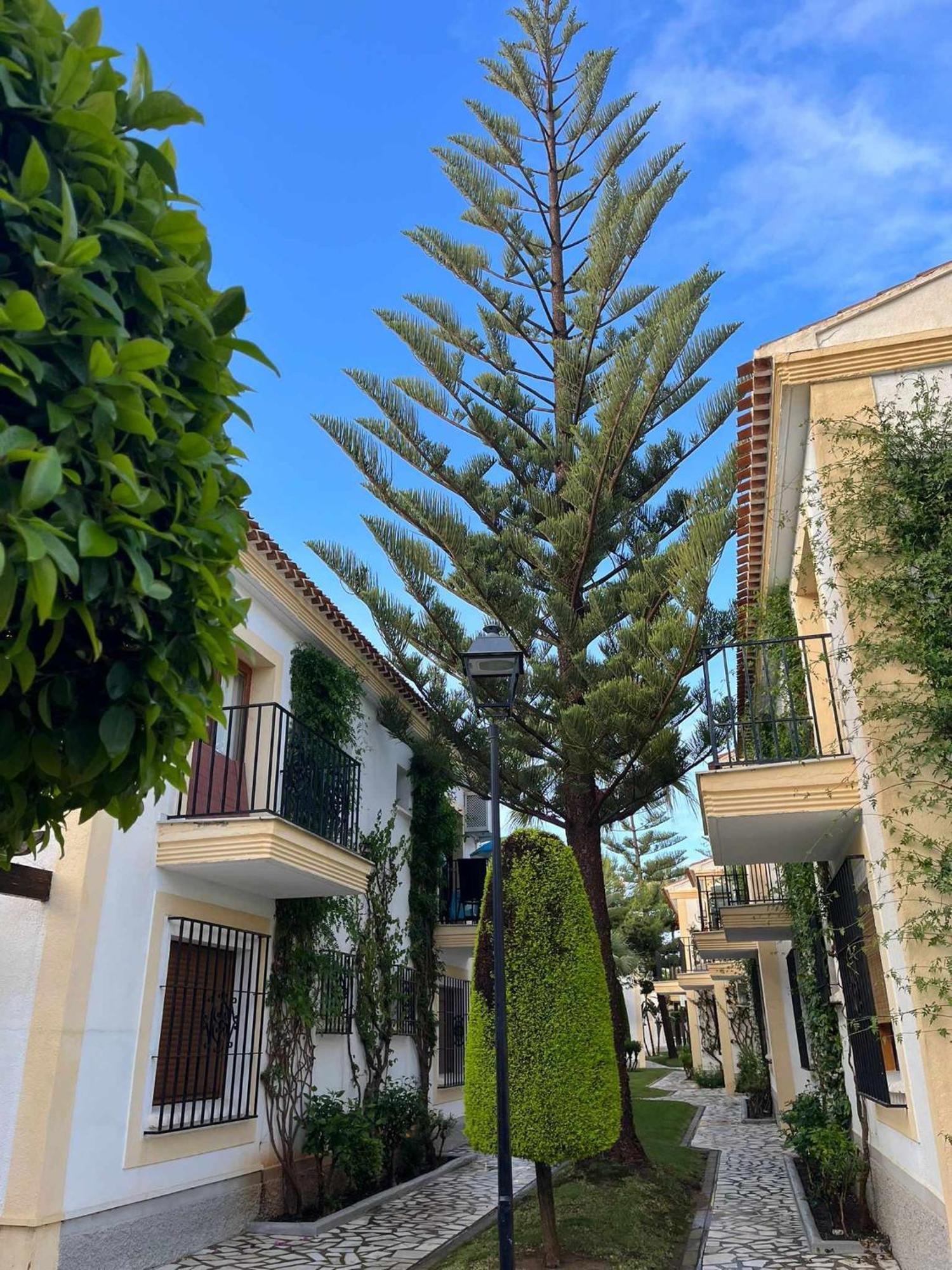 Apartamento Vera Coast 123 Playas de Vera ภายนอก รูปภาพ