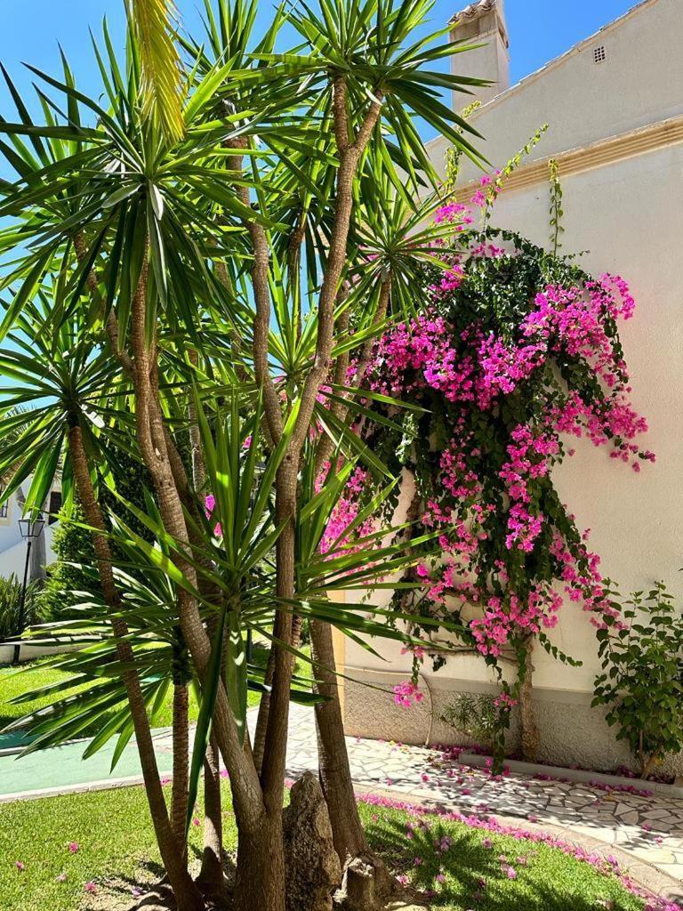 Apartamento Vera Coast 123 Playas de Vera ภายนอก รูปภาพ